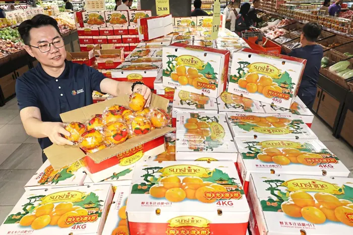 Sweeter, cheaper mandarins this year