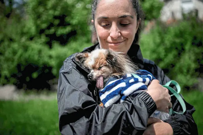 Farewell, Lazare: 'World's oldest dog' contender dies in France aged 30