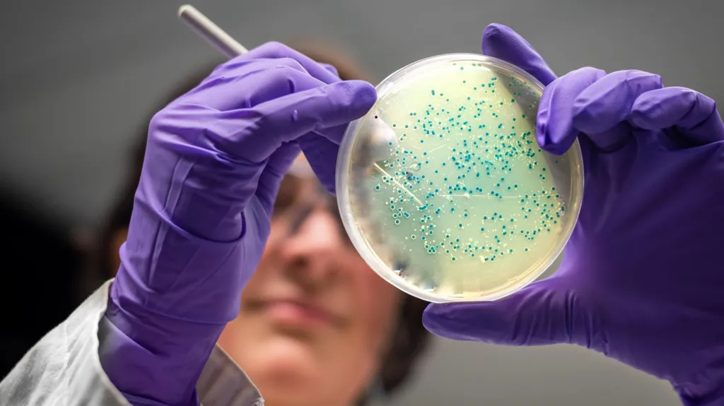AI designs antibiotics for gonorrhoea and MRSA superbugs
