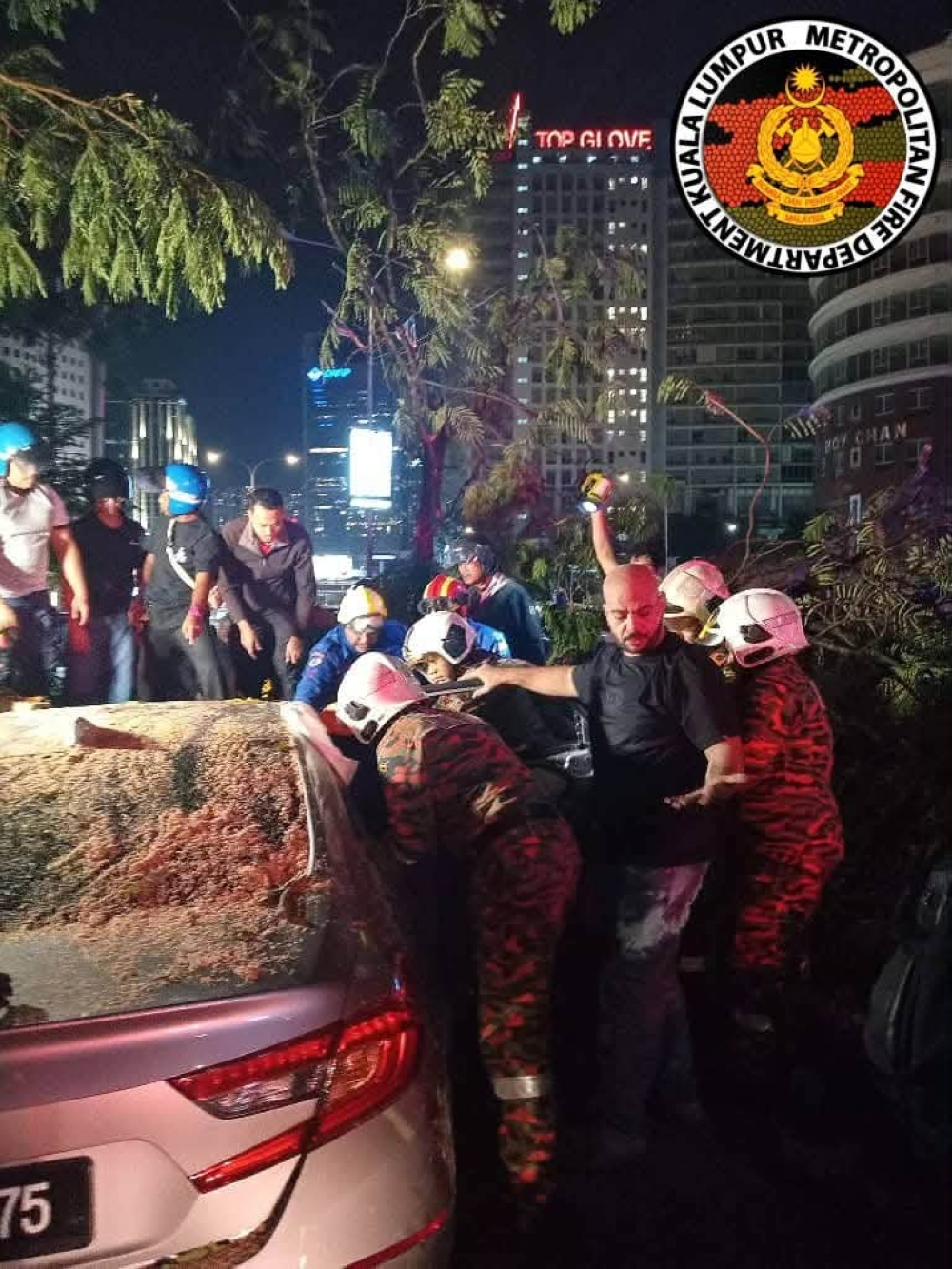 DBKL launches probe with arborists after fallen tree kills man on Jalan Tun Razak