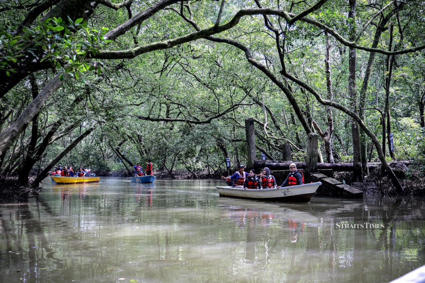 2027 Budget: Govt raises ecological fiscal transfer fund to RM270mil