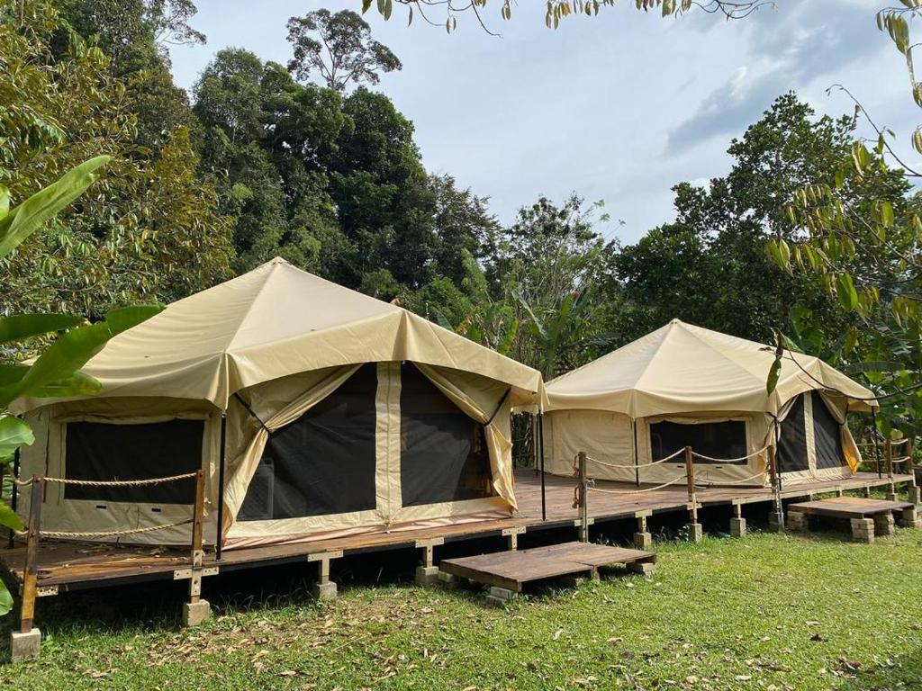 Everyday magic in Janda Baik: How Tiara Jacquelina built Malaysia’s first glamping empire