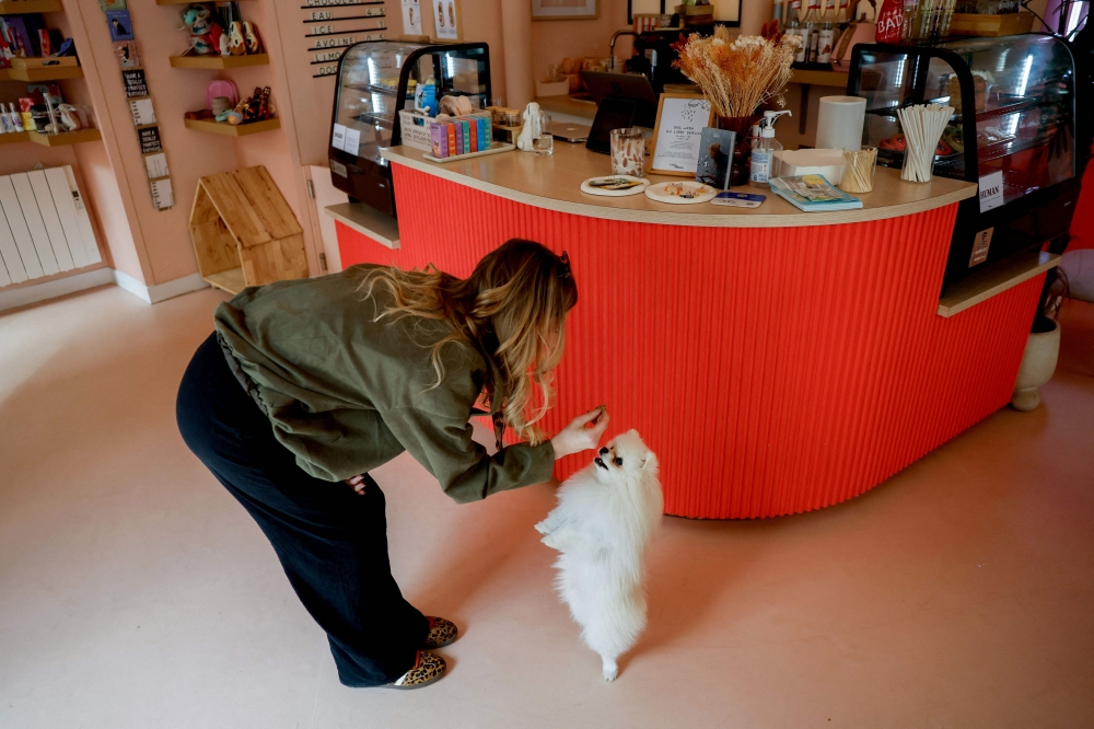Bone appétit: Inside Paris’ booming world of dog bakeries, pup cups and pastries for pampered pooches
