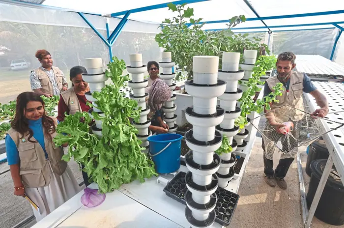 Community farm provides fresh alternative as food prices rise