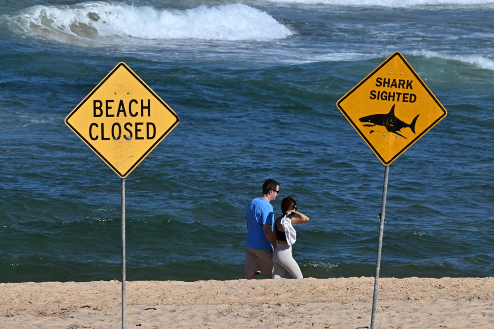 Australia expands shark-spotting drone programme after rise in attacks and sightings