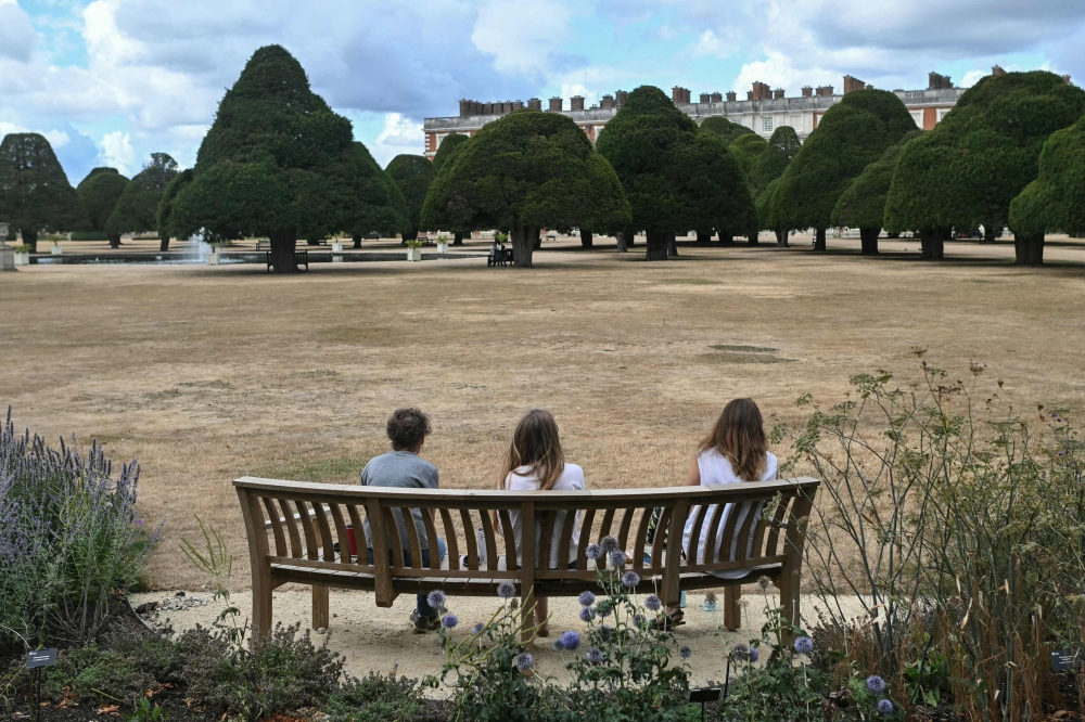 Trees ‘giving up’: Historic English gardens struggle to preserve their character amid climate change