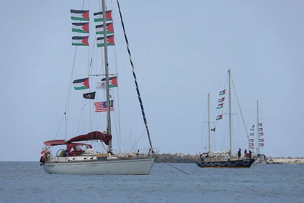 Palestine and rise of global solidarity